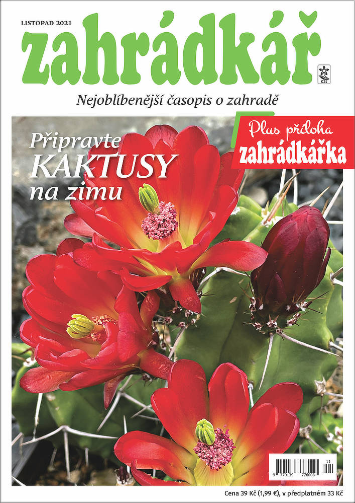 Zahrádkář 11/2021