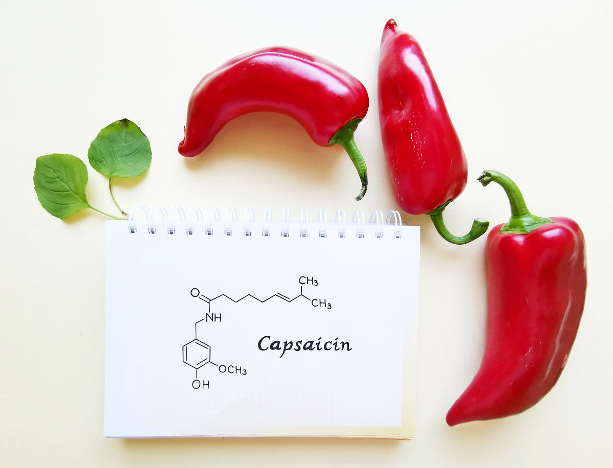 Capsaicin udává míru pálivosti chilli papriky