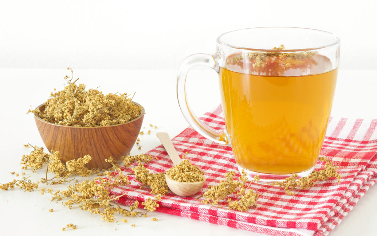 Květ bezu černého (Sambucus nigra), osvědčená bylinka na virózy a nachlazení; foto Shutterstock Čaj z květu bezu černého patří k nejosvědčenějším bylinkám
