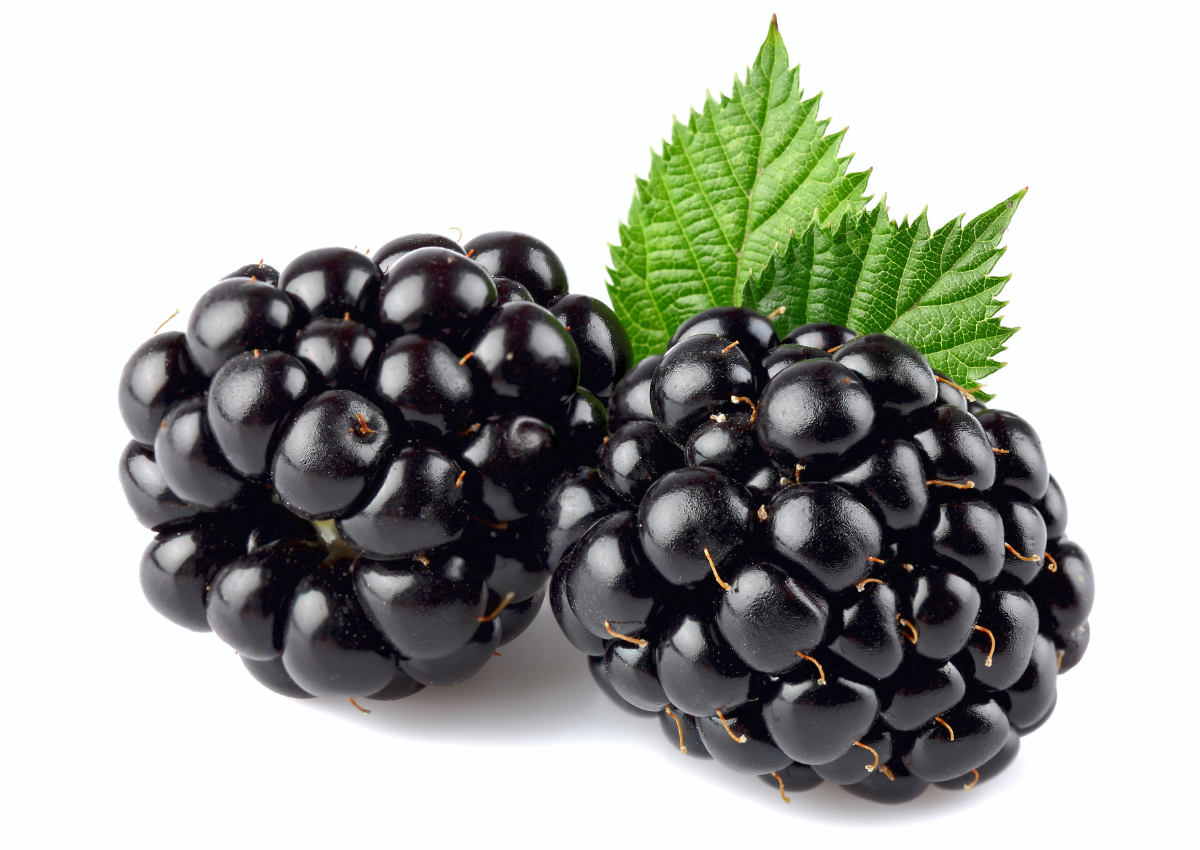 Black Satin; foto Shutterstock Black Satin
