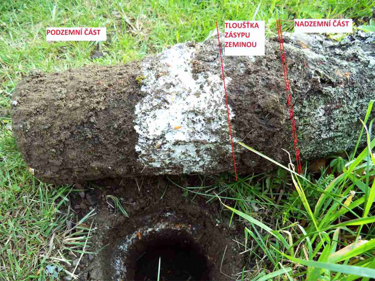 Jednotlivé vrstvy při spodním očkování Hlíva pěstovaná spodním očkováním