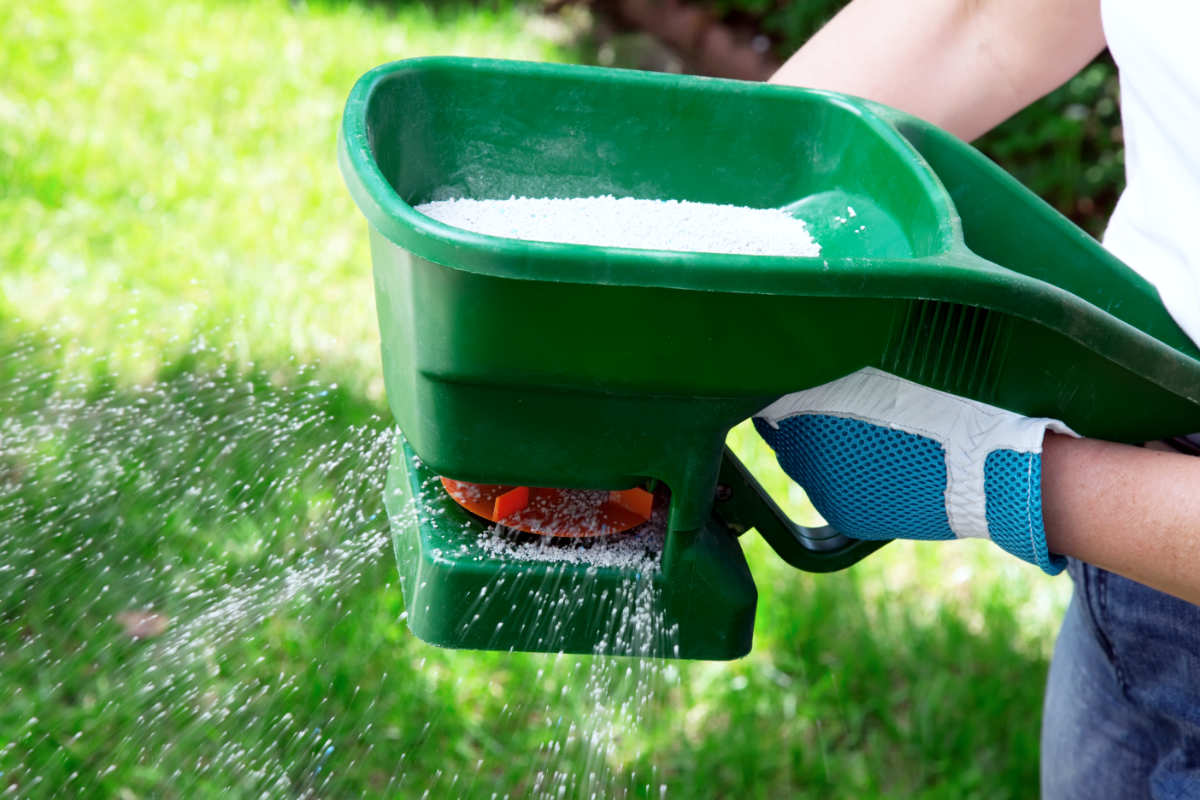 Na jaře doplňujeme potřebné živiny, aby byl trávník v dobré kondici Trávník je potřeba pravidelně hnojit, foto Shutterstock