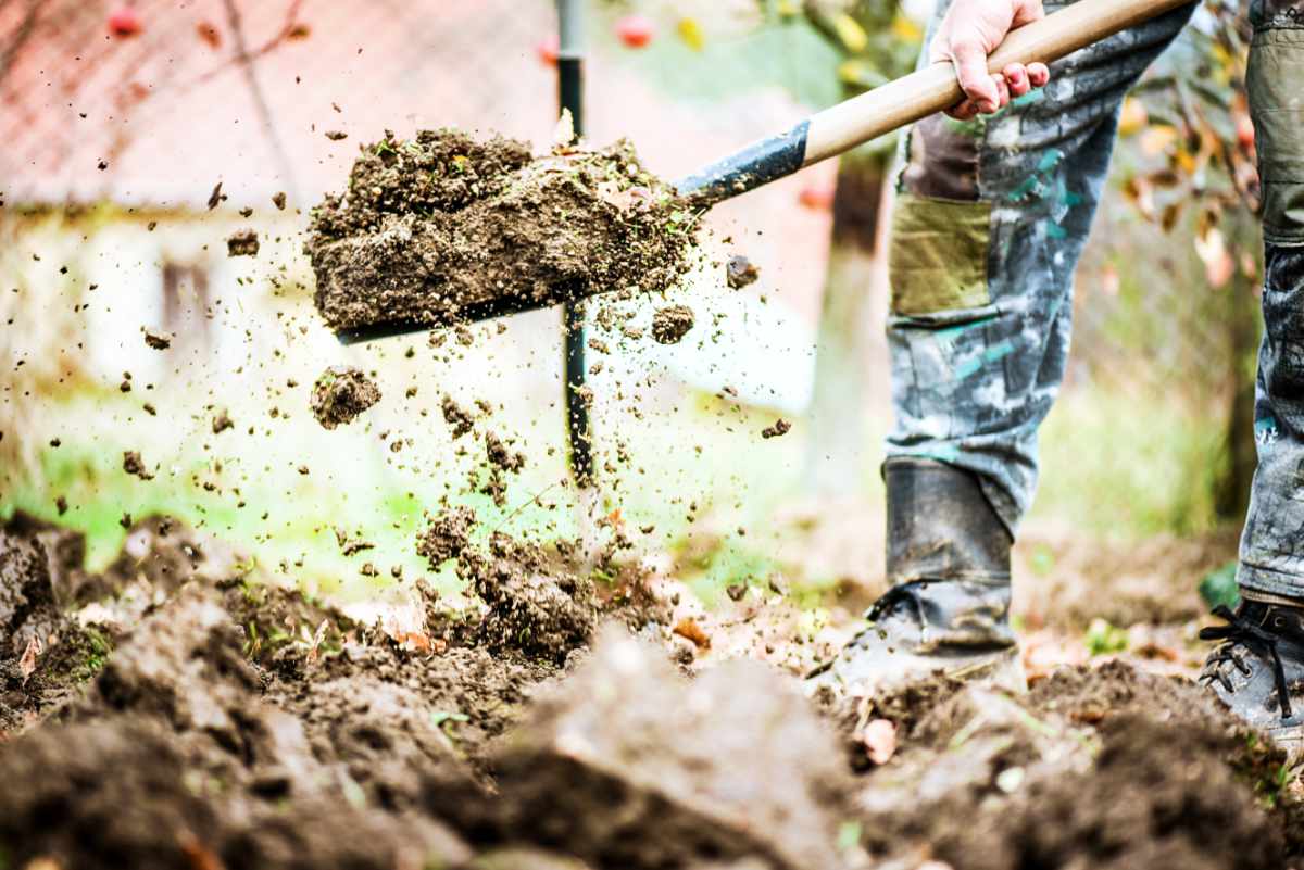 Pravidelné kypření půdy patří mezi základní péči Půdu je potřebné kypřit