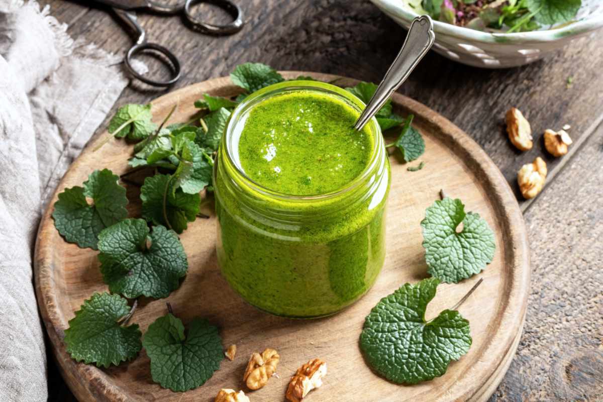 Z česnáčku se dá udělat velmi chutné pesto Česnášek v kuchyni