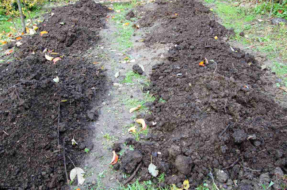 Kompost mívá díky obsahu většího množství humusu tmavší barvu než zemina na záhoně. Po rozvezení a rozhrnutí je dobré ho hned zarýpat. Kompost