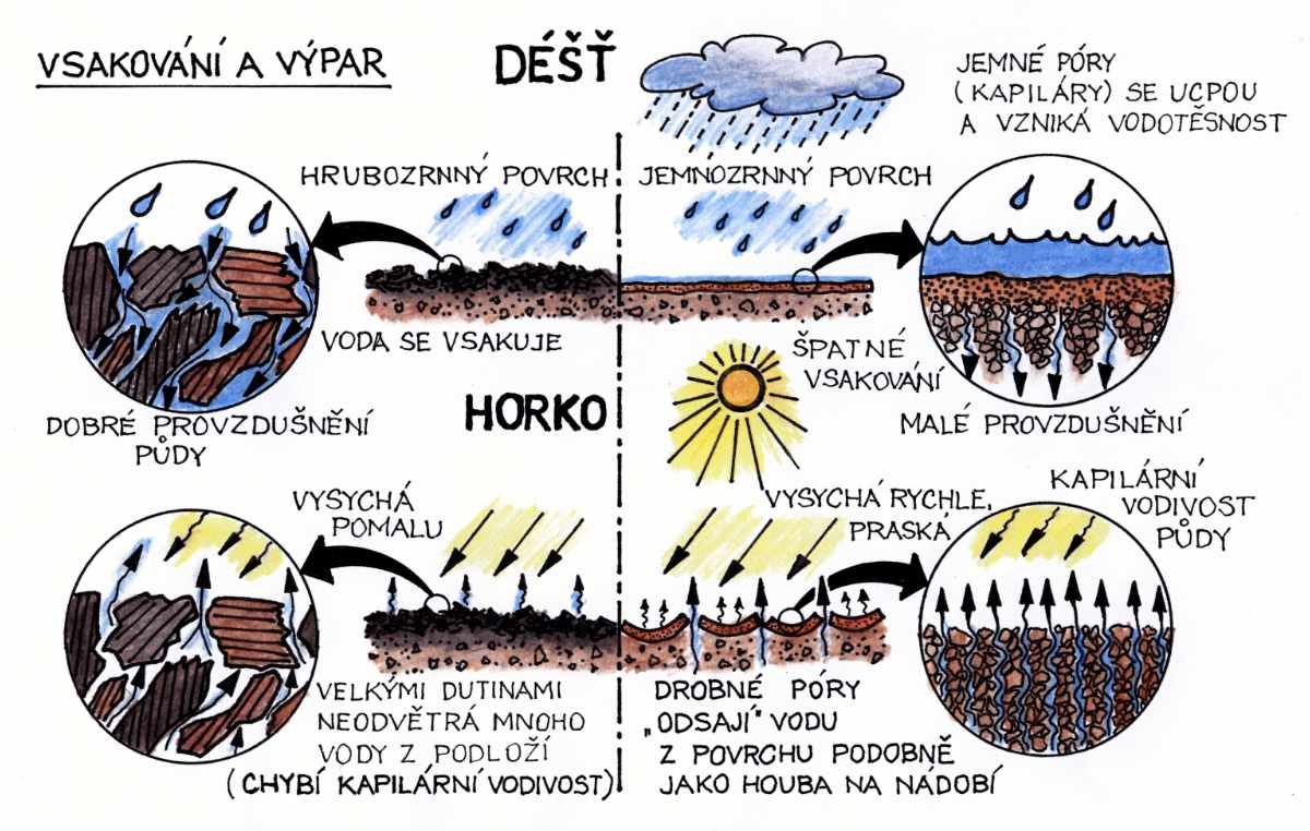 Vsakování a výpar vody Vypařování vody