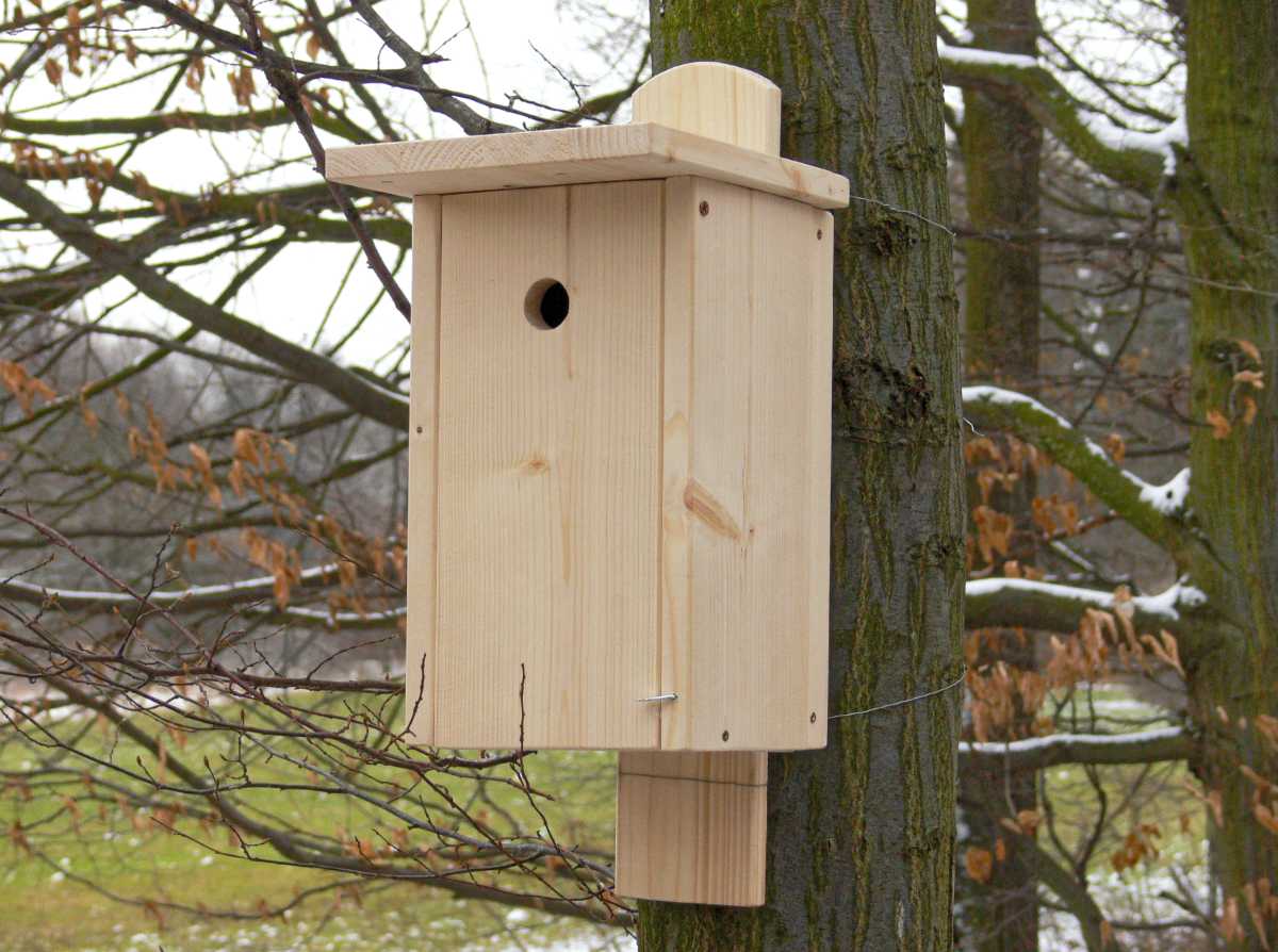 Ptačí budka pro sýkorky krok za krokem