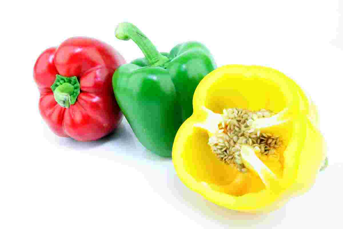 Nejrozšířenější odrůda paprika roční