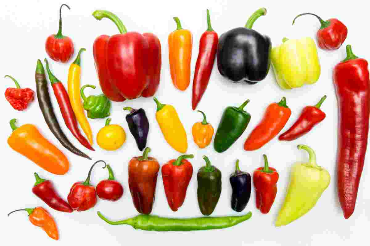 Paprika: žádaná zelenina s nejširším sortimentem odrůd