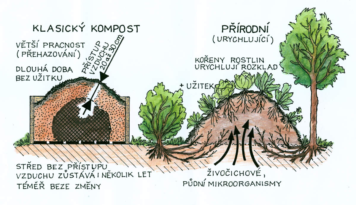 Klasický x přírodní kompost princip přírodního kompostu pro tvorbu půdy
