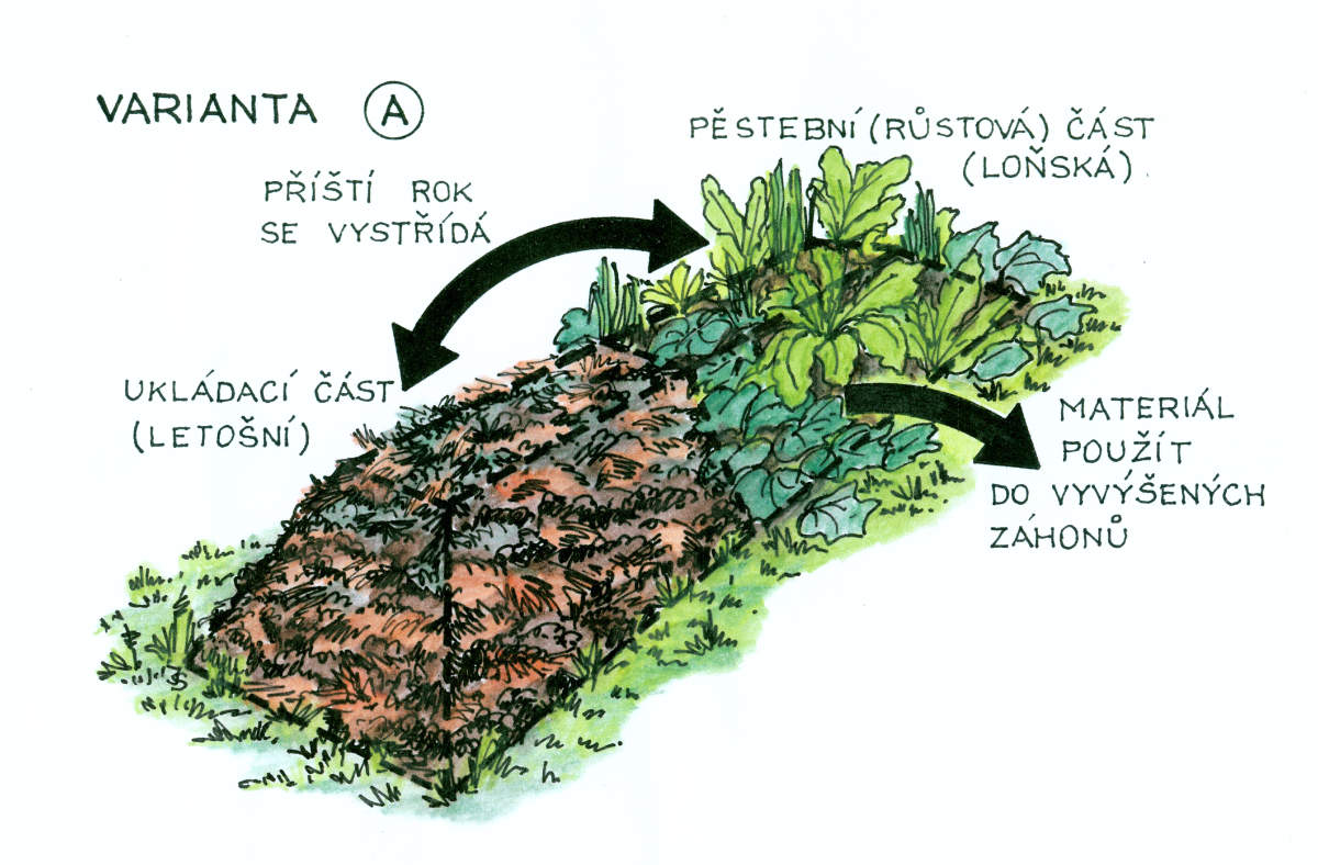 Proces regenerace půdy můžeme úspěšně urychlit