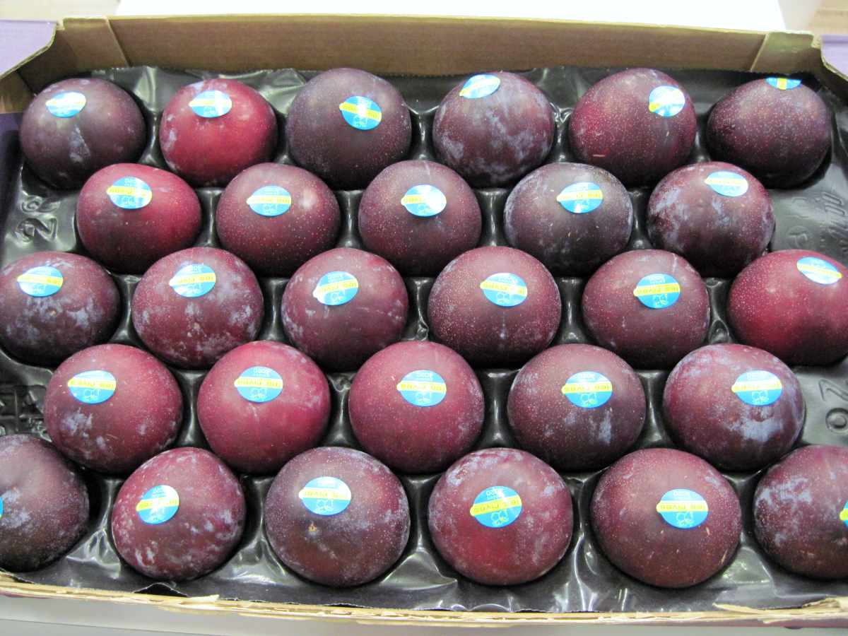 Sweet Treat Pluerry Slivoň Sweet Treat Pluerry