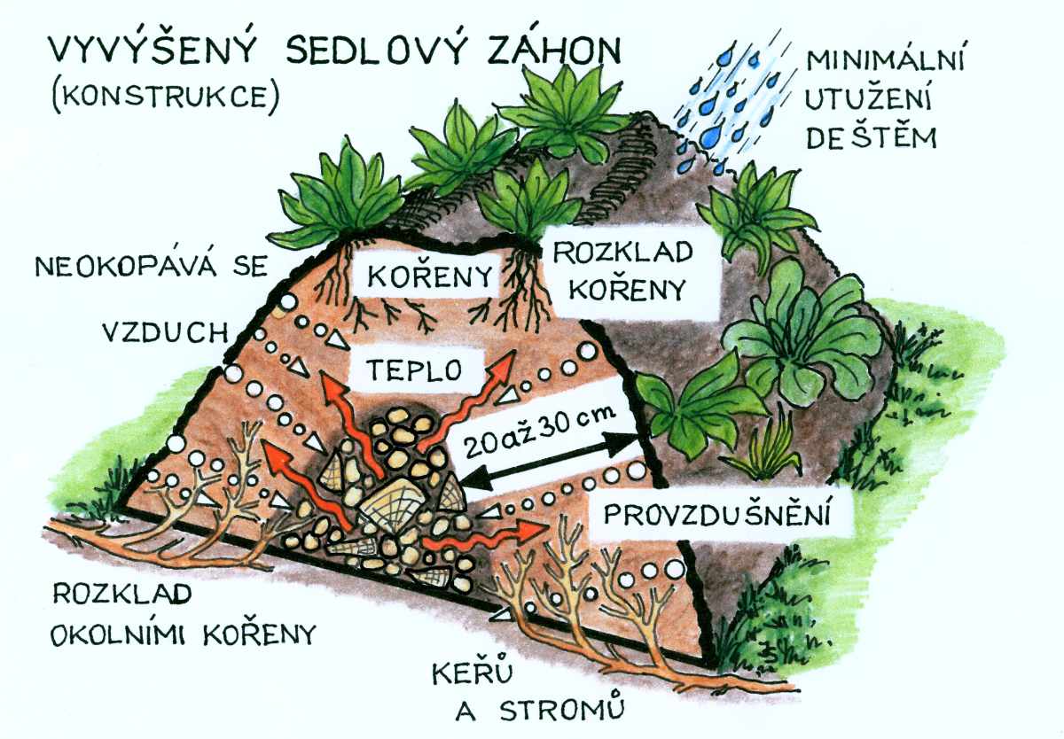 výhody vyvýšeného záhonu
