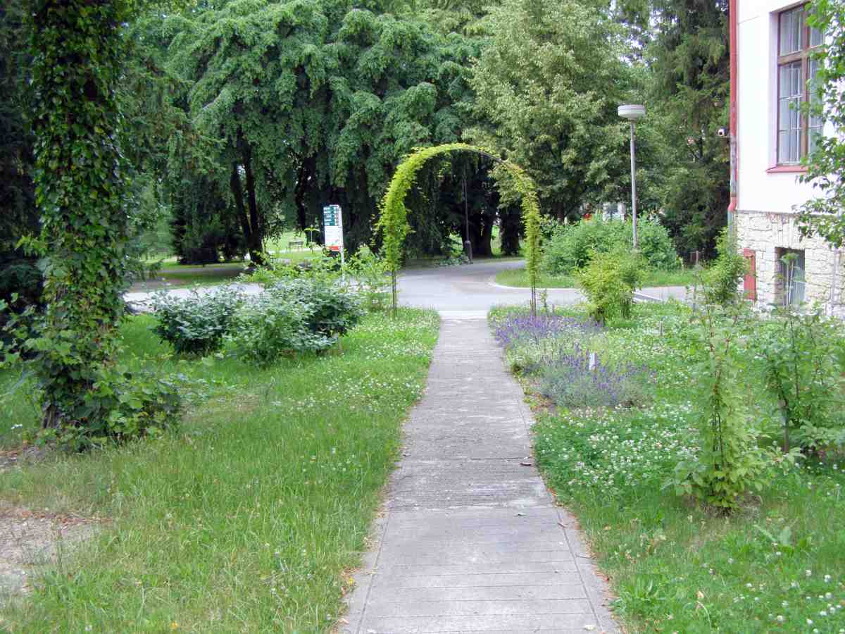 Václav Větvička: arboretum s voňavou Zahrádkou slečny Diorové