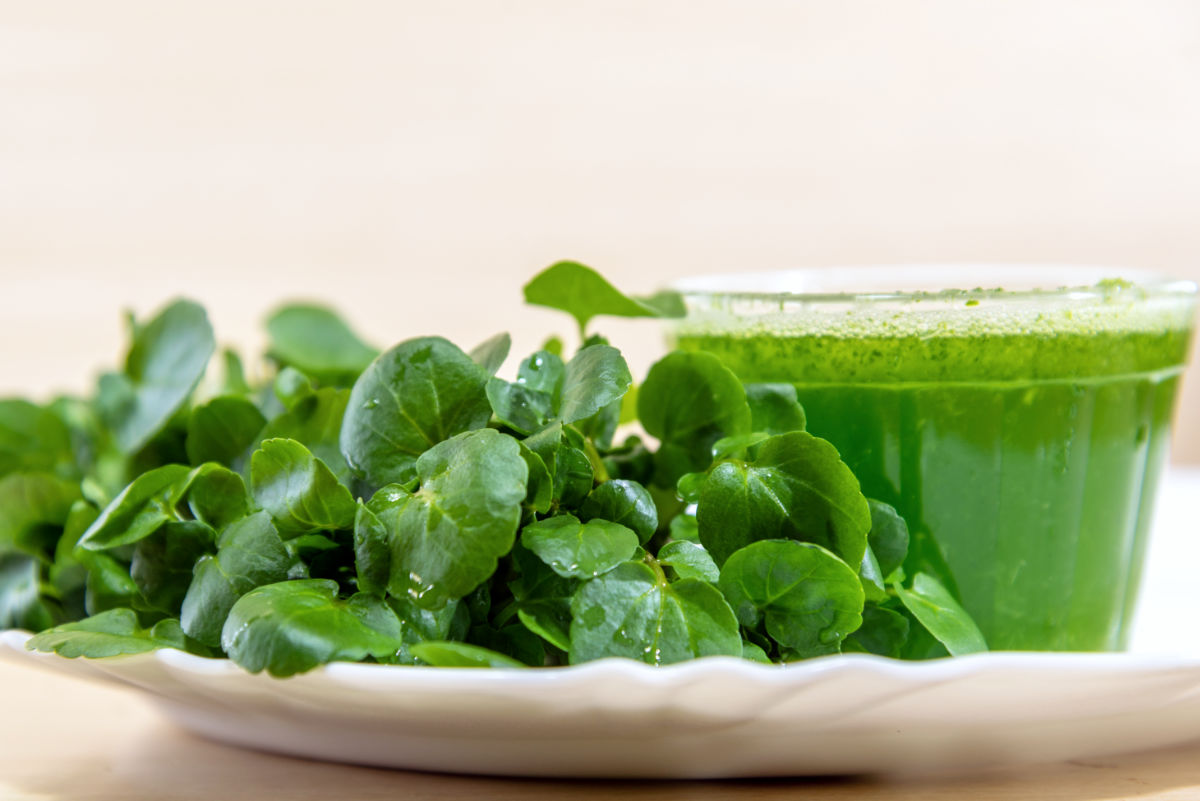Detoxikační nápoj z potočnice Čerstvé listy potočnice
