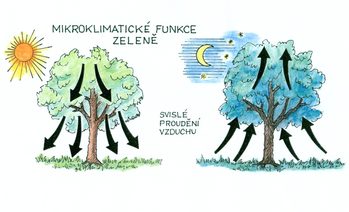 Rozmanitost porostů v přírodě i přírodní zahradě si žádá náš respekt