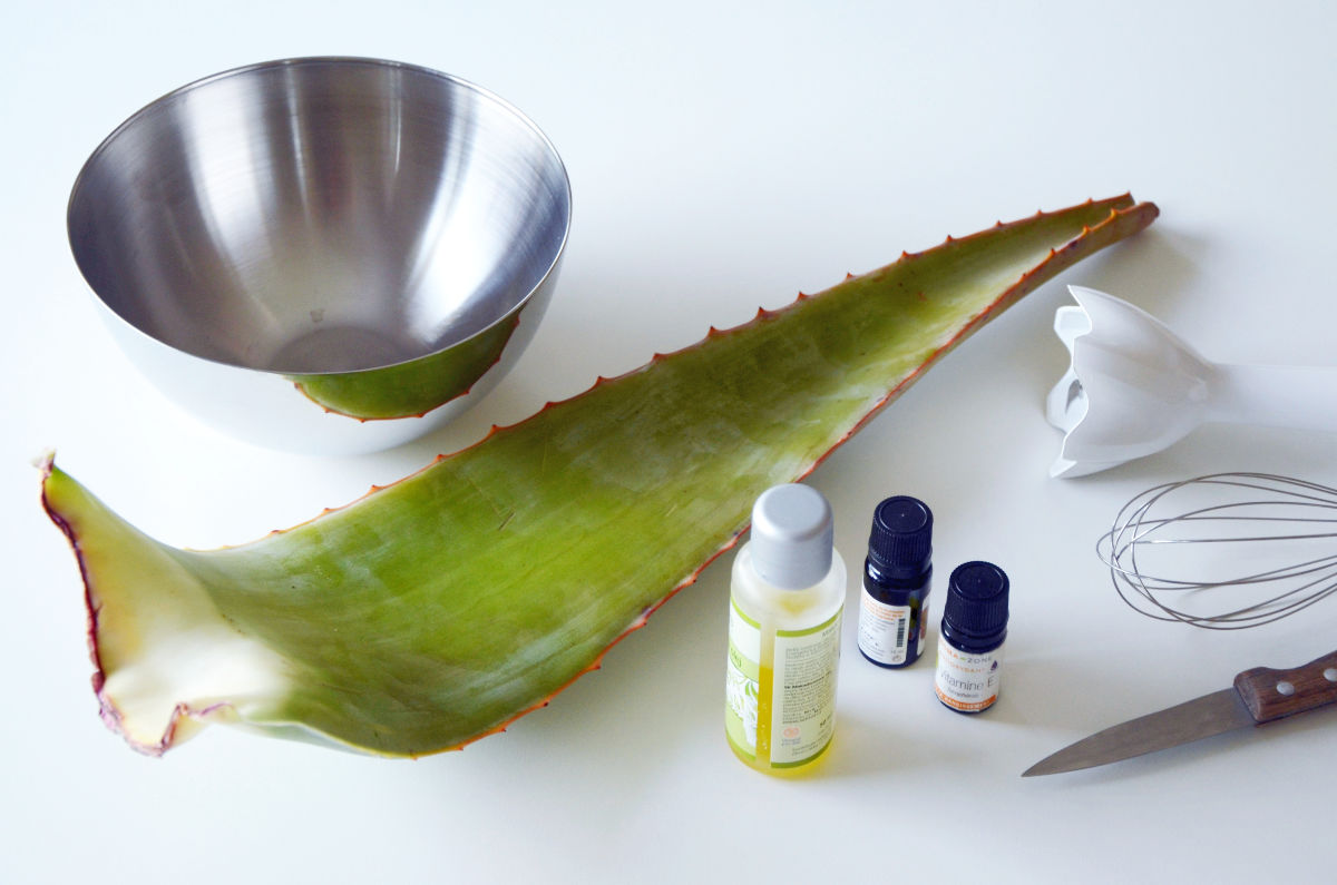 Domácí gel z aloe vera a vše potřebné