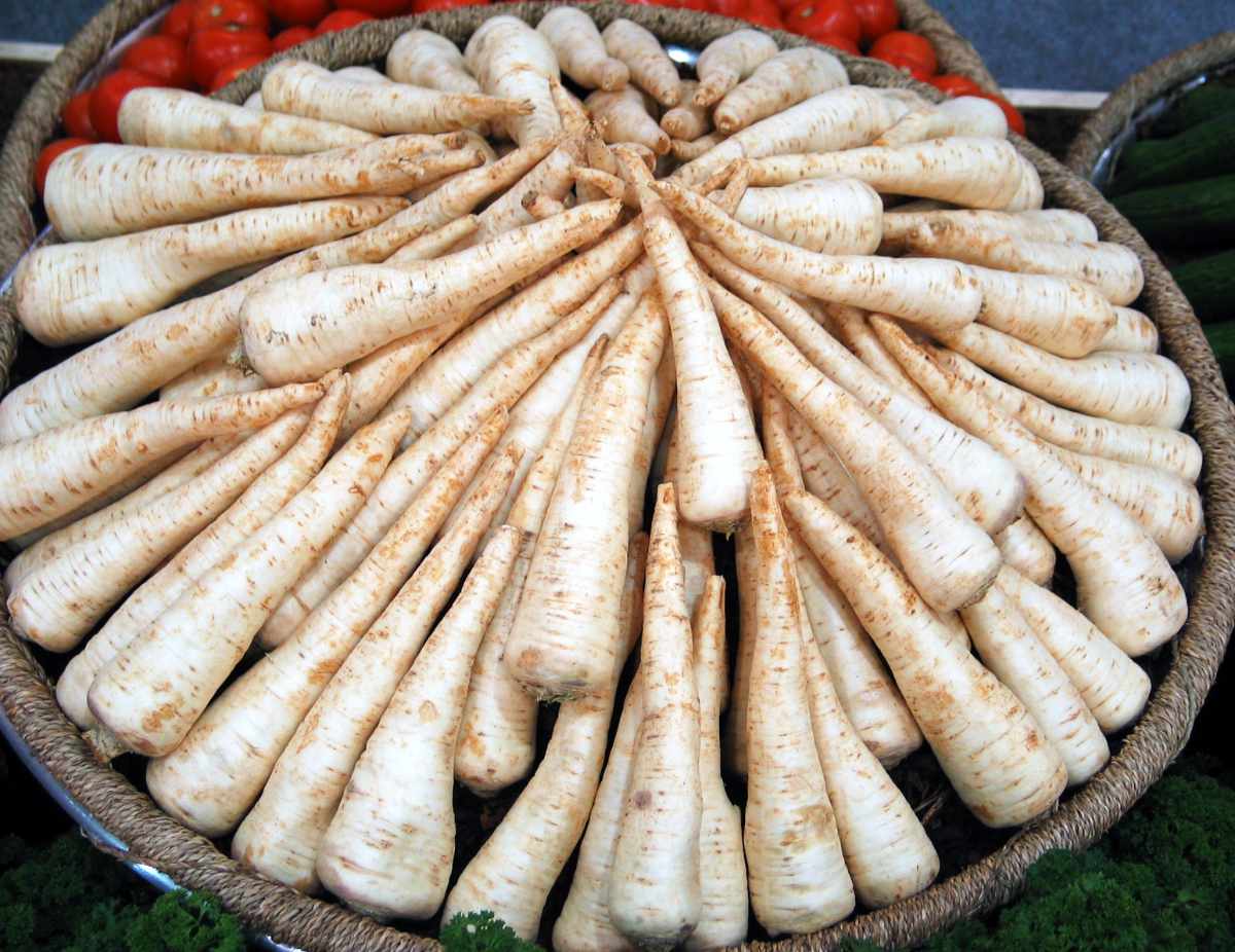 Pastiňák je bohatý na obsah kumarinů