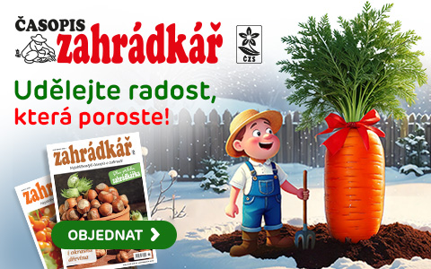 Zahrádkář: váš celoroční průvodce péčí o zahradu