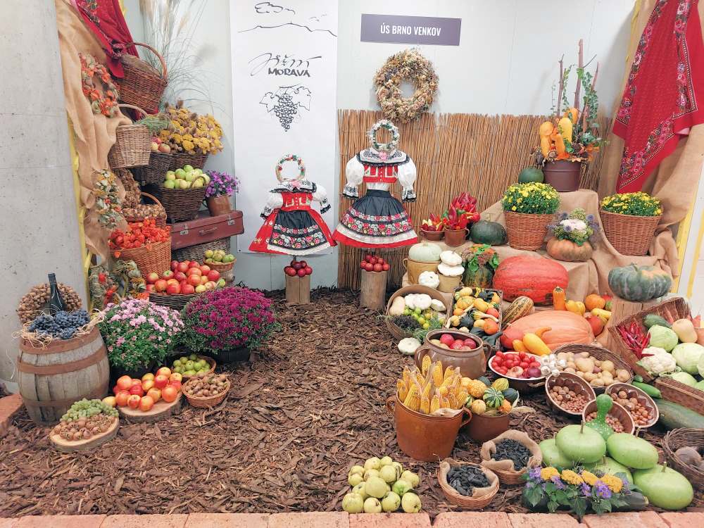 2. místo za nejlépe zpracovanou expozici obdrželo ÚS ČZS Brno - venkov 2. místo za nejlépe zpracovanou expozici obdrželo ÚS ČZS Brno - venkov
