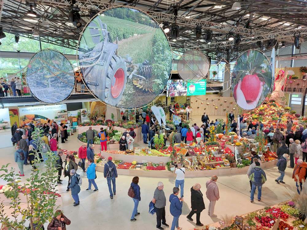 Autorkou letošní hlavní expozice na podzimní výstavě Flora Olomouc Hortikomplex byla floristka Klára Franc Vavříková Autorkou letošní hlavní expozice na podzimní výstavě Flora Olomouc Hortikomplex byla floristka Klára Franc Vavříková