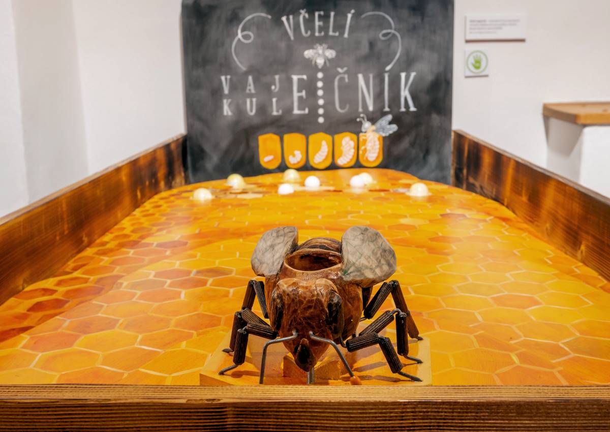 Bzukot školních zahrad v Národním pedagogickém muzeu