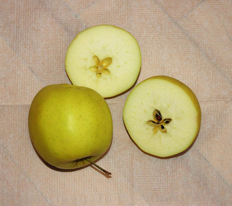 Golden Delicious nepravidelně vyvinutý plod