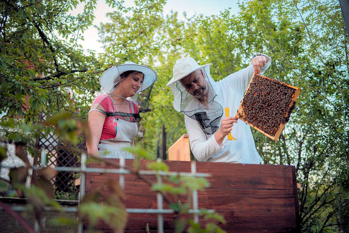 Dvě české přírodní zahrady uspěly v Evropě