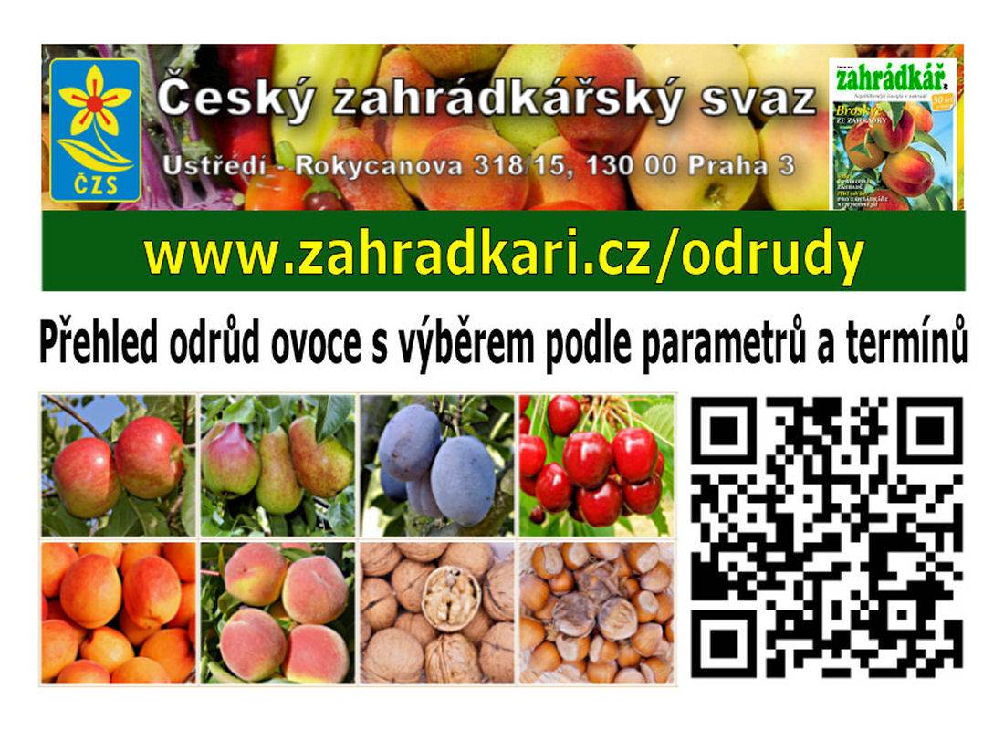 Přehled ovocných odrůd v katalogu ČZS: více než 750 položek
