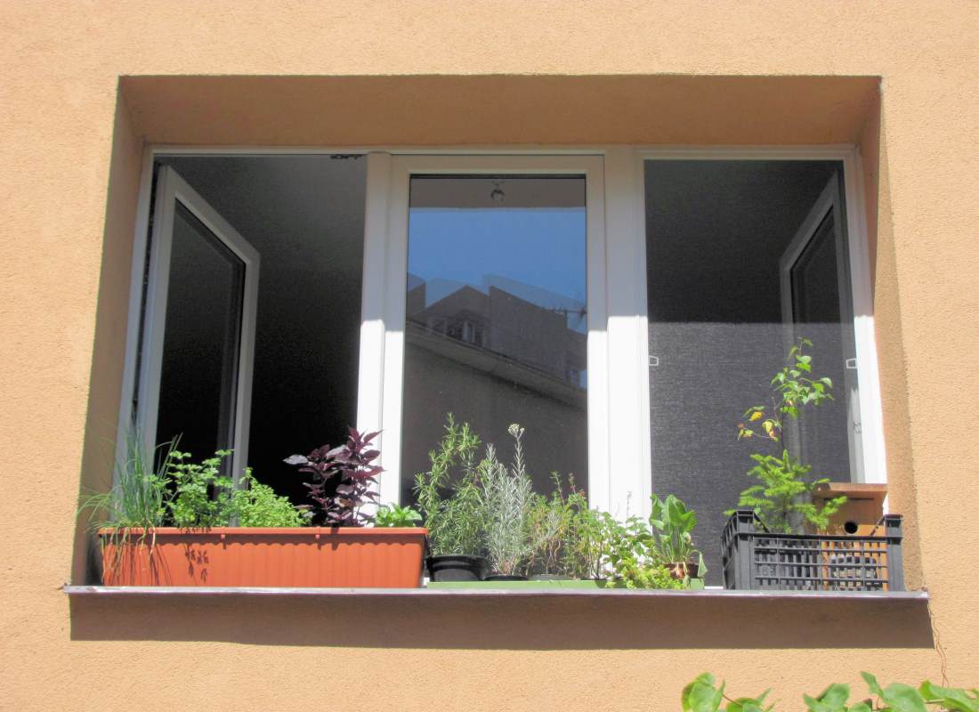 I okno může hostit řadu rostlin Okenní parapet venku osázený bylinkami
