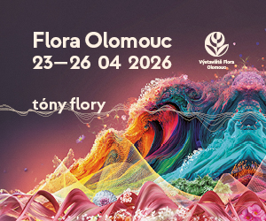 Flora Olomouc 2026