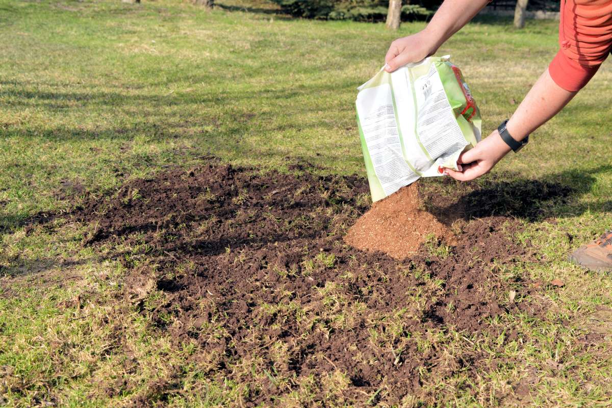 Aplikace směsi pro opravu lysin v trávníku Směs na opravu holých ploch v trávníku