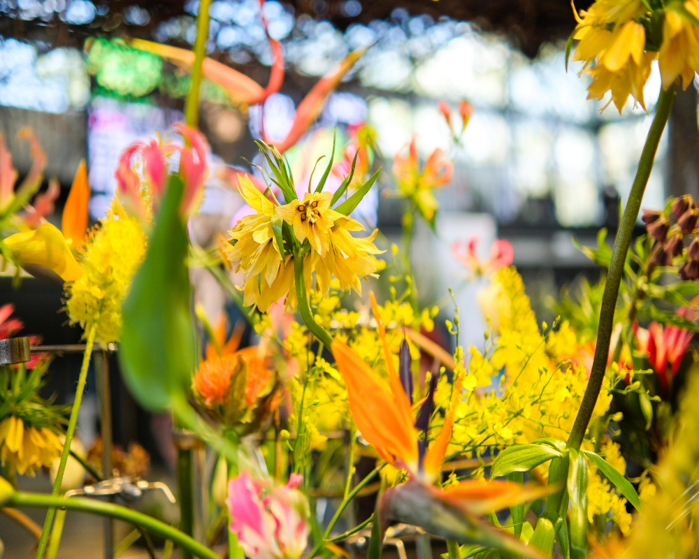 Světová floristika na jarní výstavě Flora Olomouc