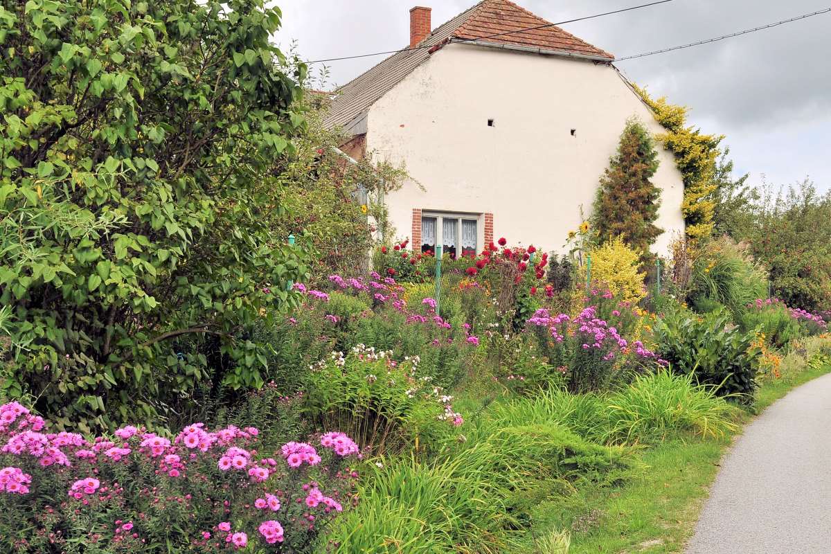 4 - Předzahrádka, co přeskočila plot 4 - Předzahrádka, co přeskočila plot
