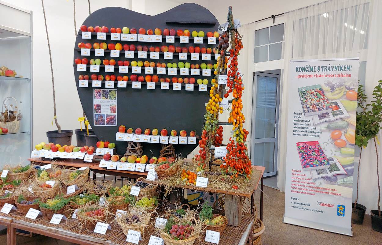 Expozice soutěže Křišťálové jablko Expozice soutěže Křišťálové jablko