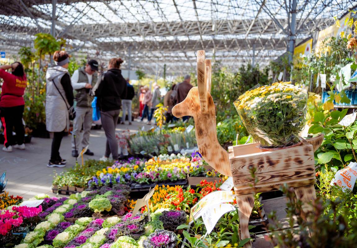 Floria Podzim 2025: bonsaje, zahradní inspirace a příjemný víkend