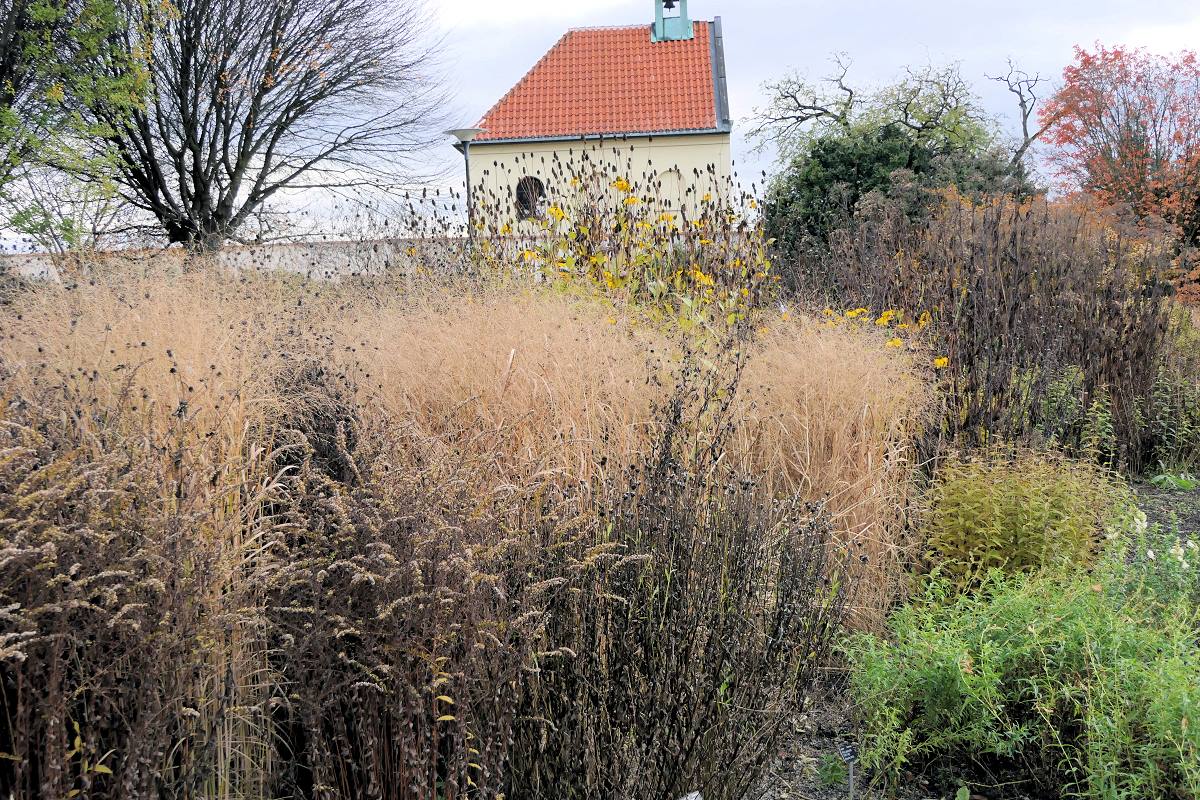Podzim s okrasnými trávami: krása, která přetrvá až do zimy