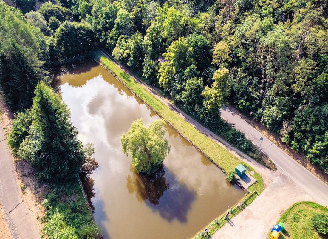 Vrba v Brdatkách ze Středočeského kraje získala třetí místo Vrba v Brdatkách ze Středočeského kraje získala třetí místo