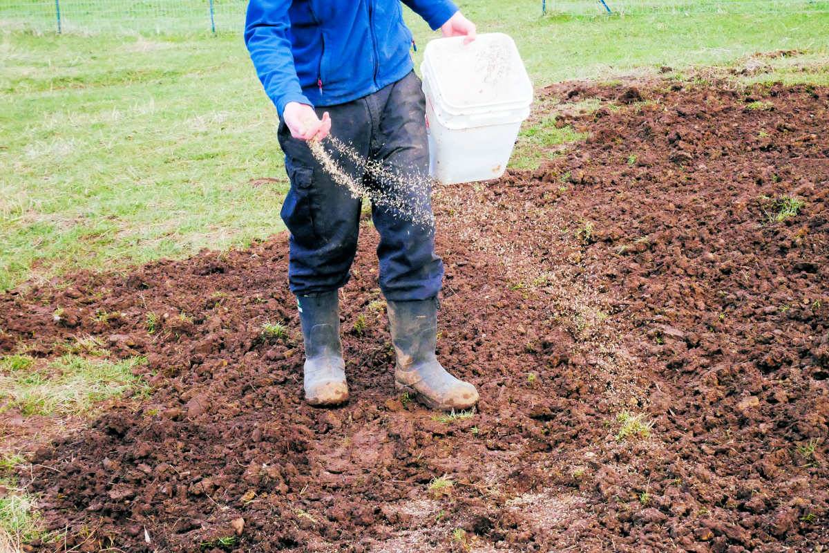 Aktuální problémy zahrádkářů pod drobnohledem odborníka