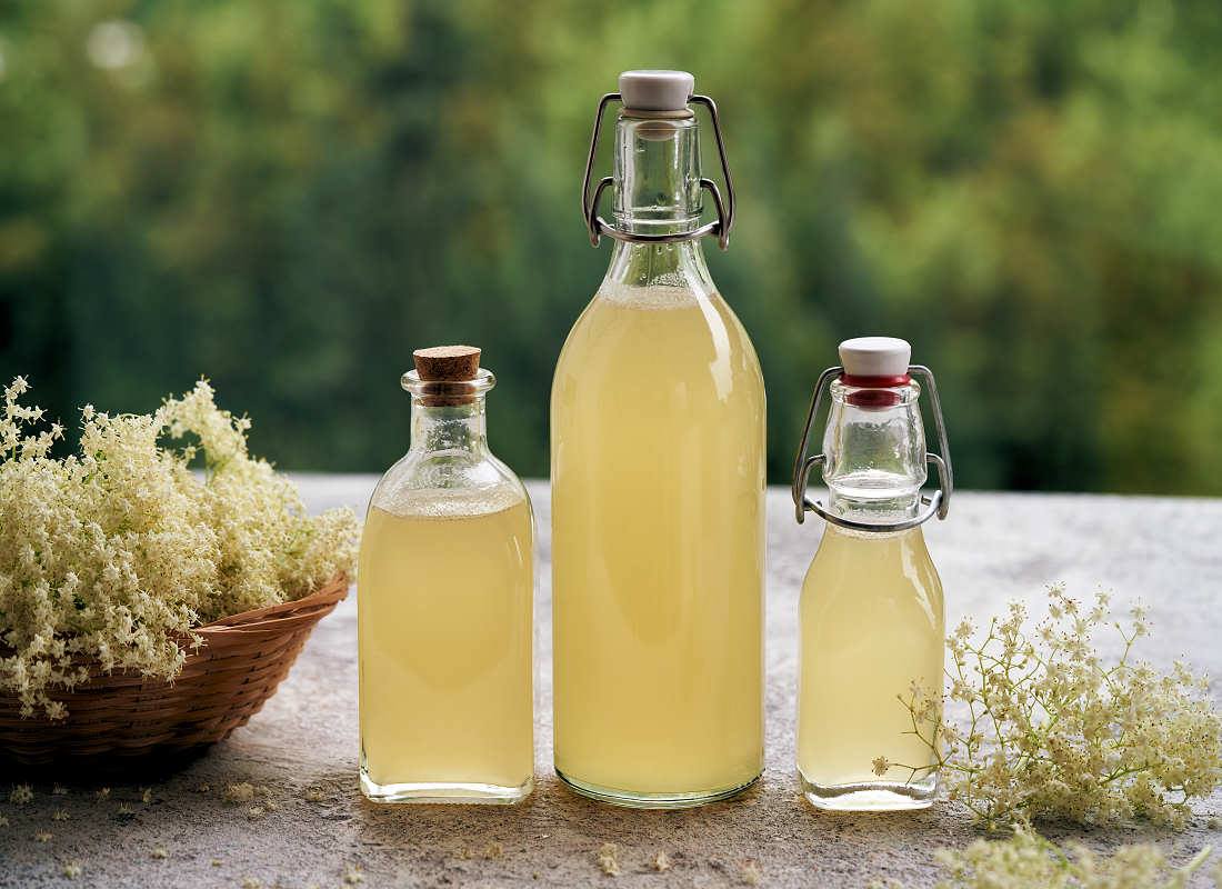 Bez černý (Sambucus nigra): léčivý keř s obrovským využitím