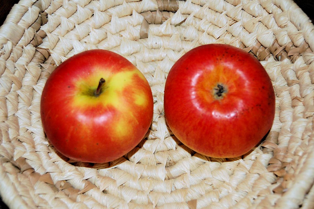 Láká vás Cosmic Crisp? Poradíme, jaké odrůdy jsou pro české zahrady lepší