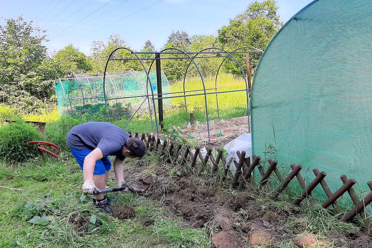 Komunitní zahrada je prostor, kde skupina lidí hospodaří společně Přírodní zahrada