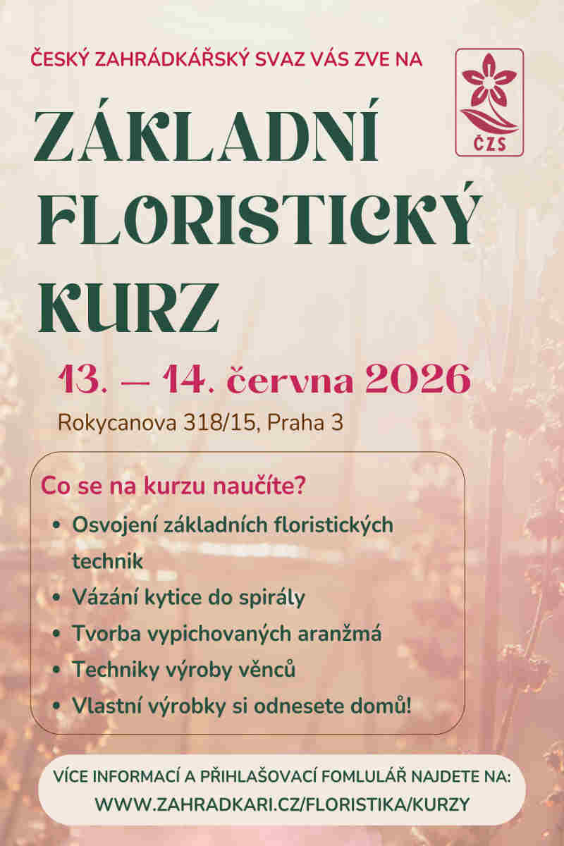 Základní floristický kurz A Základní floristický kurz A