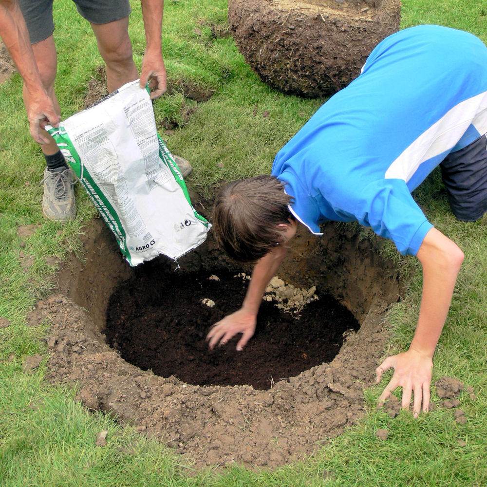 Březnová výsadba v zahradě: Jak správně sázet stromky a keře?