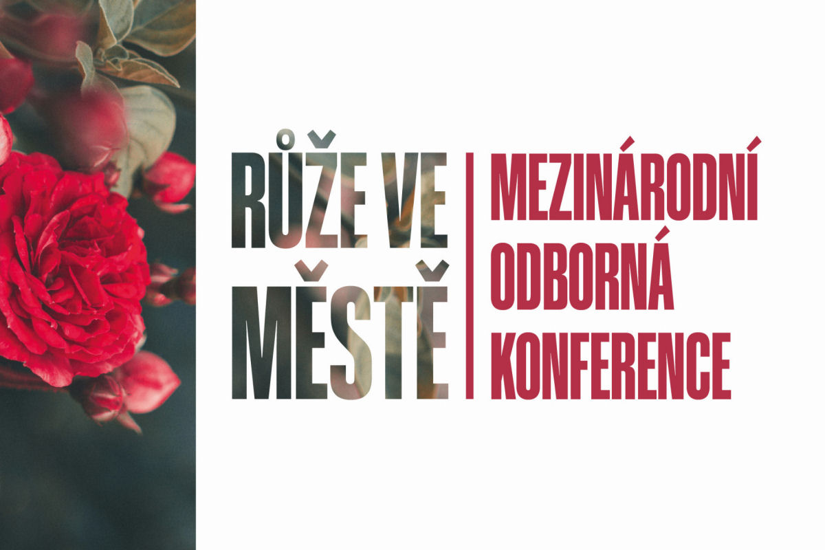 Konference v Olomouci: Růže – hrdinky moderních měst