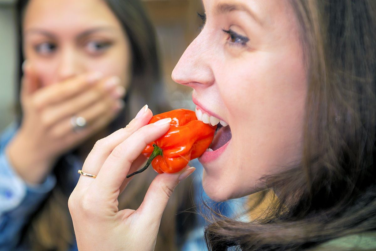 Fenomén chilli: Od pálivé závislosti k zahradnické vášni
